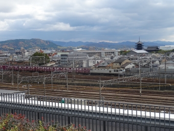 JR貨物 EF510形 EF510-509 鉄道フォト・写真 by 294たかさん 京都駅 (JR)：2016年12月11日11時ごろ