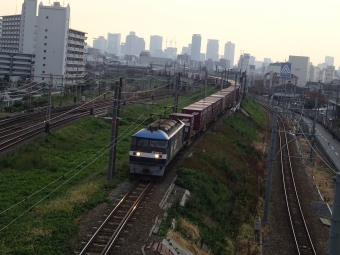 JR貨物 EF210形 EF210-9 鉄道フォト・写真 by 294たかさん 加島駅：2015年10月30日07時ごろ