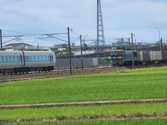JR貨物 EF510形 EF510-505 鉄道フォト・写真 by 294たかさん 明峰駅：2022年06月28日14時ごろ