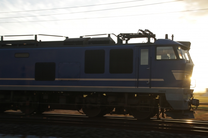 JR貨物 EF510形 EF510-506 鉄道フォト・写真 by 294たかさん 明峰駅：2022年08月19日05時ごろ