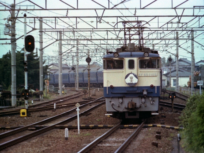 鉄道フォト・写真：国鉄  富士 EF65-1105 三島駅 (JR) 鉄道フォト・写真 by ニックネーム可さん - 撮影日 1981/12/31 00:00