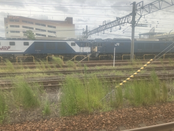 JR貨物 国鉄EF64形電気機関車 EF64-1021 鉄道フォト・写真 by ひでおさん ：2022年09月18日14時ごろ