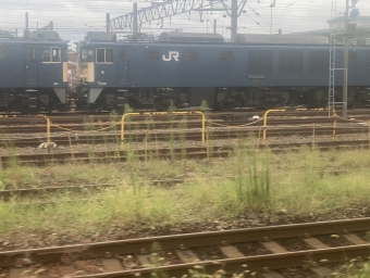 JR貨物 国鉄EF64形電気機関車 EF64-1022 鉄道フォト・写真 by ひでおさん ：2022年09月18日14時ごろ