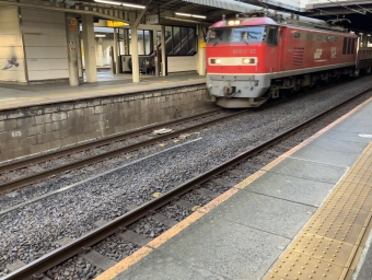 JR貨物 EF510形 EF510-22 鉄道フォト・写真 by ひでおさん 大垣駅 (JR)：2022年12月06日15時ごろ
