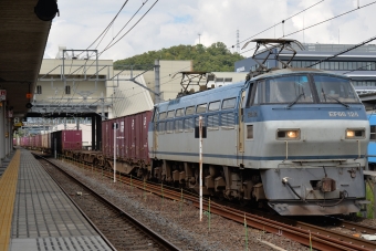 JR貨物 国鉄EF66形電気機関車 EF66-124 鉄道フォト・写真 by ガラスパゴスさん 米原駅 (JR)：2021年09月20日14時ごろ
