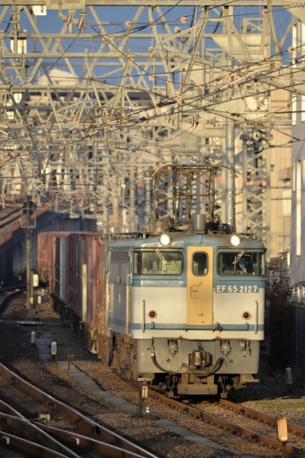 JR貨物 国鉄EF65形電気機関車 EF65-2127 鉄道フォト・写真 by ガラスパゴスさん 尼崎駅 (JR)：2021年11月03日06時ごろ