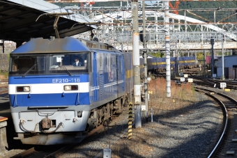 JR貨物 EF210形 EF210-118 鉄道フォト・写真 by ガラスパゴスさん 京都駅 (JR)：2021年11月03日15時ごろ