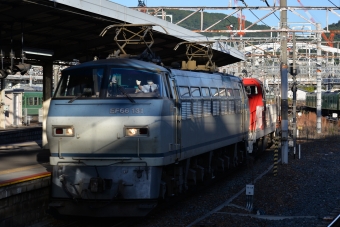 JR貨物 国鉄EF66形電気機関車 EF66-131 鉄道フォト・写真 by ガラスパゴスさん 京都駅 (JR)：2021年11月03日15時ごろ