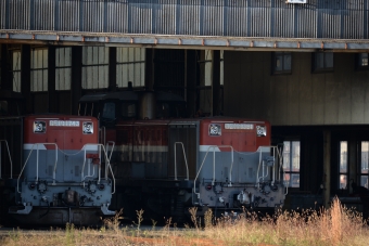 JR貨物 国鉄DE10形ディーゼル機関車 DE10 1561 鉄道フォト・写真 by ガラスパゴスさん 吹田駅 (JR)：2021年11月03日07時ごろ