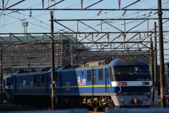 EF210-326 鉄道フォト・写真
