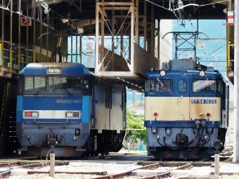JR貨物 EH200形 EH200-901 鉄道フォト・写真 by 長ナノさん ：2022年07月17日12時ごろ