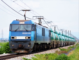 JR貨物 EH200形 EH200-901 鉄道フォト・写真 by 長ナノさん 篠ノ井駅 (JR)：2022年07月18日12時ごろ