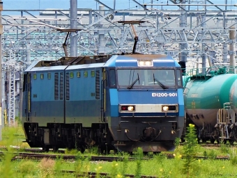 JR貨物 EH200形 EH200-901 鉄道フォト・写真 by 長ナノさん 篠ノ井駅 (JR)：2022年07月18日11時ごろ