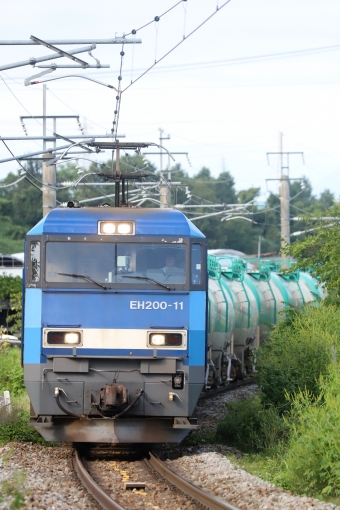 JR貨物 EH200形 EH200-11 鉄道フォト・写真 by 長ナノさん 稲荷山駅：2022年08月30日15時ごろ