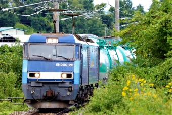 JR貨物 EH200形 EH200-22 鉄道フォト・写真 by 長ナノさん ：2022年09月21日15時ごろ