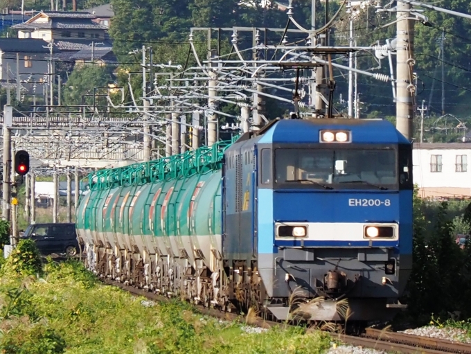 鉄道フォト・写真：JR貨物EH200形電気機関車 EH200-8 稲荷山駅 鉄道フォト・写真 by 長ナノさん - 撮影日 2022/10/04 07:26