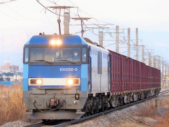 JR貨物 EH200形 EH200-5 鉄道フォト・写真 by 長ナノさん ：2023年01月22日16時ごろ