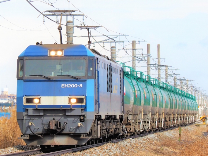 鉄道フォト・写真：JR貨物EH200形電気機関車 EH200-8 篠ノ井駅～稲荷山駅 鉄道フォト・写真 by 長ナノさん - 撮影日 2023/02/25 12:26