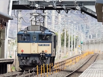 JR貨物 国鉄EF64形電気機関車 EF64-1021 鉄道フォト・写真 by 長ナノさん 今井駅：2023年04月06日17時ごろ