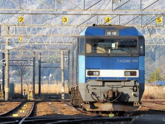JR貨物 EH200形 EH200-20 鉄道フォト・写真 by 長ナノさん ：2023年04月09日06時ごろ
