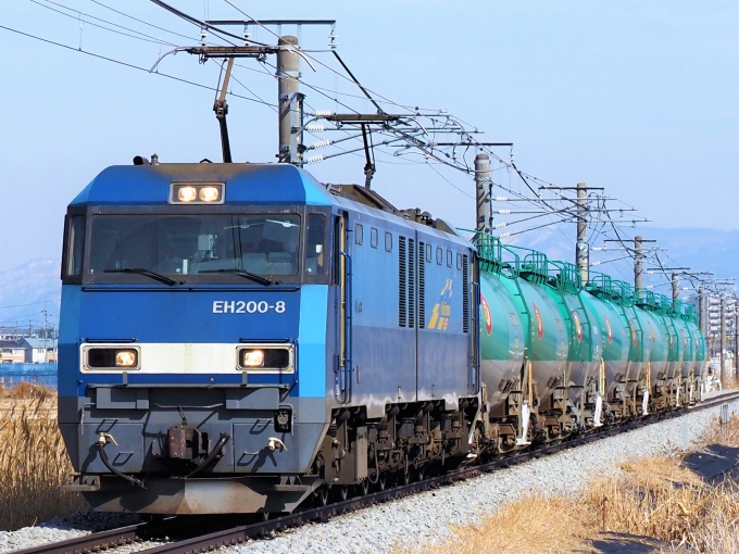 鉄道フォト・写真：JR貨物EH200形電気機関車 EH200-8 篠ノ井駅 (JR) 鉄道フォト・写真 by 長ナノさん - 撮影日 2023/02/12 12:25