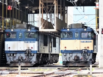 JR貨物 国鉄EF64形電気機関車 EF64-1013&1042 鉄道フォト・写真 by 長ナノさん ：2023年05月14日05時ごろ