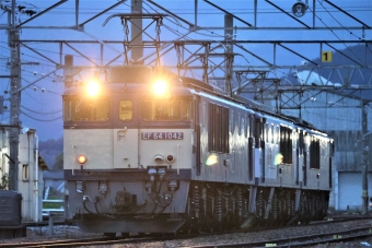 JR貨物 国鉄EF64形電気機関車 EF64-1042+1013+1022 鉄道フォト・写真 by 長ナノさん ：2023年05月14日18時ごろ