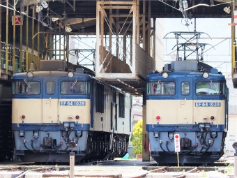 JR貨物 国鉄EF64形電気機関車 EF64-1038&1039 鉄道フォト・写真 by 長ナノさん ：2023年05月21日11時ごろ
