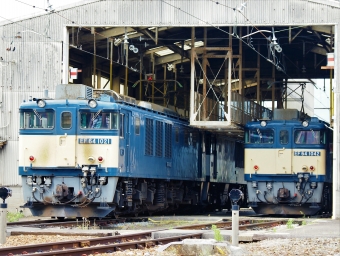 JR貨物 国鉄EF64形電気機関車 EF64-1021&1042 鉄道フォト・写真 by 長ナノさん ：2023年05月28日09時ごろ