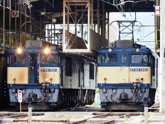 JR貨物 国鉄EF64形電気機関車 EF64-1021&1020&1042 鉄道フォト・写真 by 長ナノさん ：2023年05月28日10時ごろ