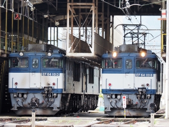 JR貨物 国鉄EF64形電気機関車 EF64-1013&1018 鉄道フォト・写真 by 長ナノさん ：2023年05月13日11時ごろ
