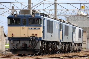 JR貨物 国鉄EF64形電気機関車 EF64-1042&1021&1020 鉄道フォト・写真 by 長ナノさん ：2023年05月28日16時ごろ