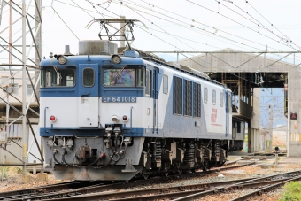 JR貨物 国鉄EF64形電気機関車 EF64-1018 鉄道フォト・写真 by 長ナノさん ：2023年05月13日11時ごろ