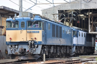 JR貨物 国鉄EF64形電気機関車 EF64-1021 鉄道フォト・写真 by 長ナノさん ：2023年05月28日09時ごろ
