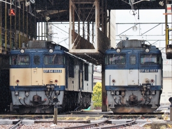 JR貨物 国鉄EF64形電気機関車 EF64-1033 鉄道フォト・写真 by 長ナノさん ：2023年06月11日07時ごろ