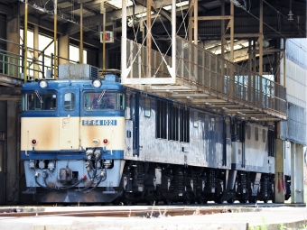 JR貨物 国鉄EF64形電気機関車 EF64-1021 鉄道フォト・写真 by 長ナノさん ：2023年06月17日09時ごろ
