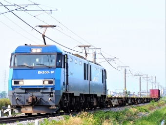 JR貨物 EH200形 EH200-10 鉄道フォト・写真 by 長ナノさん 篠ノ井駅 (JR)：2023年06月18日16時ごろ