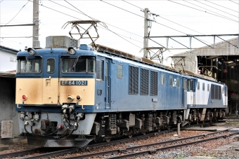 JR貨物 国鉄EF64形電気機関車 EF64-1021 鉄道フォト・写真 by 長ナノさん ：2023年07月15日09時ごろ