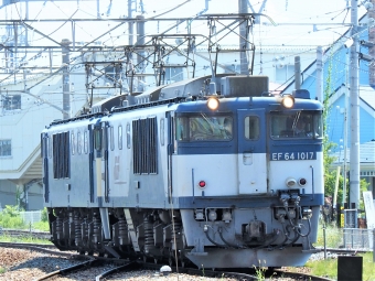 JR貨物 国鉄EF64形電気機関車 EF64-1017 鉄道フォト・写真 by 長ナノさん ：2023年07月22日09時ごろ