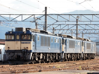 JR貨物 国鉄EF64形電気機関車 EF64-1042 鉄道フォト・写真 by 長ナノさん ：2023年08月06日17時ごろ