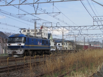 JR東日本 JR貨物EF210形電気機関車 鉄道フォト・写真 by 信鳥さん 鴨宮駅：2022年03月03日14時ごろ