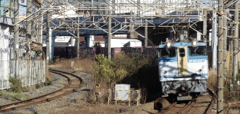 JR貨物 国鉄EF65形電気機関車 EF65-2127 鉄道フォト・写真 by G各さん 浜川崎駅：2023年02月28日15時ごろ