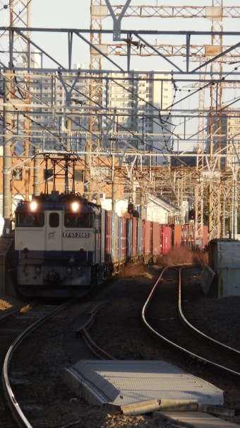 JR貨物 国鉄EF65形電気機関車 EF65-2085 鉄道フォト・写真 by G各さん 八丁畷駅 (JR)：2023年02月28日16時ごろ