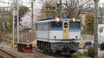 JR貨物 国鉄EF65形電気機関車 2127 鉄道フォト・写真 by G各さん 川崎新町駅：2023年03月31日14時ごろ