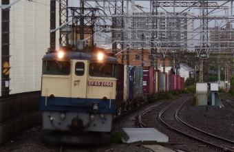 JR貨物 国鉄EF65形電気機関車 鉄道フォト・写真 by G各さん 八丁畷駅 (JR)：2023年04月26日16時ごろ