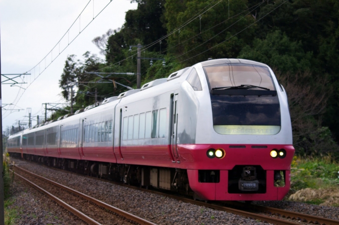 JR東日本 E653系 フレッシュひたち(特急) 鉄道フォト・写真 by yamatomo1973さん ：2011年10月16日14時ごろ