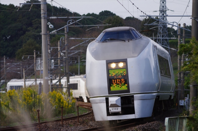 JR東日本 651系 スーパーひたち(特急) 鉄道フォト・写真 by yamatomo1973さん ：2011年10月16日14時ごろ