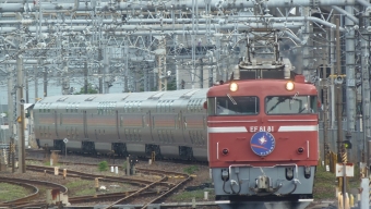 JR東日本 EF81-81 カシオペア 鉄道フォト・写真 by ハチゴ～さん 大宮駅 (埼玉県|JR)：2022年05月14日16時ごろ