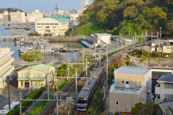 JR東日本E217系電車 鉄道フォト・写真 by アオイさん 横須賀駅：2023年04月01日16時ごろ