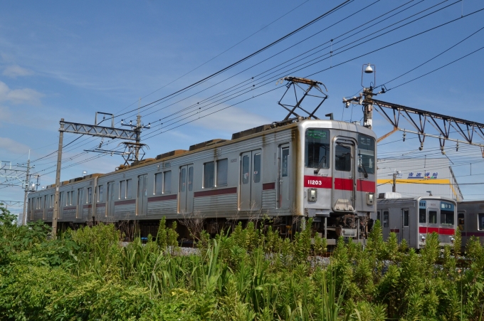 鉄道フォト・写真：東武鉄道 東武10000系電車 渡瀬駅 (群馬県) 鉄道フォト・写真 by アオイさん - 撮影日 2024/08/11 14:44